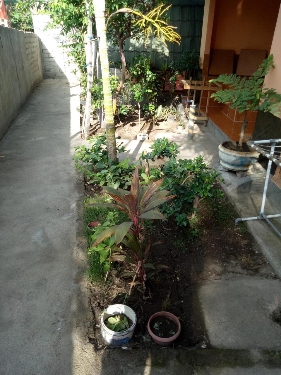 Aladdin Homestay Gili Air Eksteriør billede